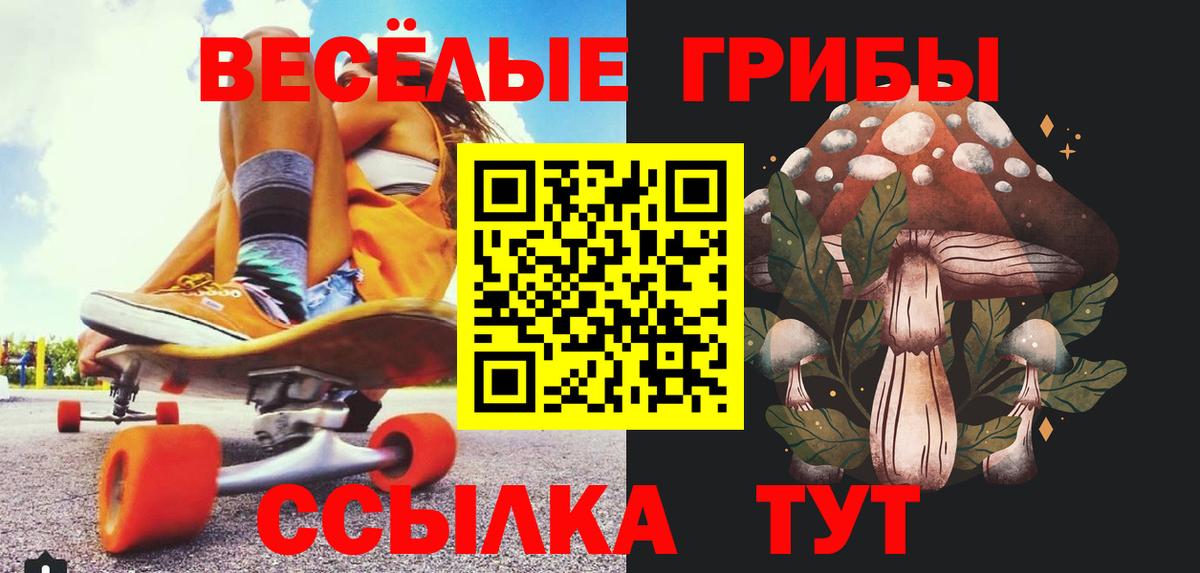 Истра  Псилоцибиновые грибы мицелий  Вход с VPN 