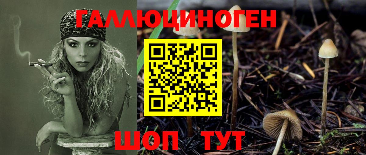 Галлюциногенные грибы Psilocybe Истра